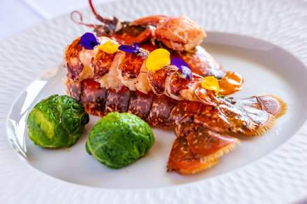 Plat Le Viscos Hôtel de charme dans les Pyrénées à Saint-Savin - Hôtel restaurant de charme 4 étoiles