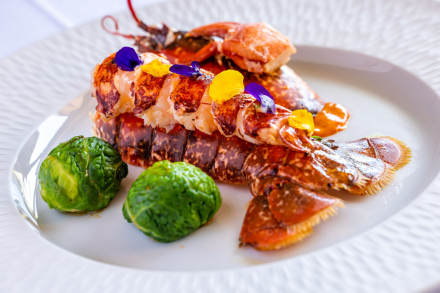 Plat Le Viscos Hôtel de charme dans les Pyrénées à Saint-Savin - Hôtel restaurant de charme 4 étoiles